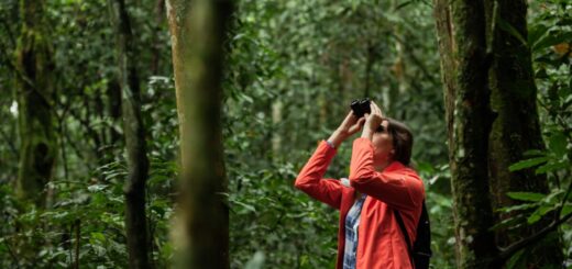 ecotourisme-au-mexique